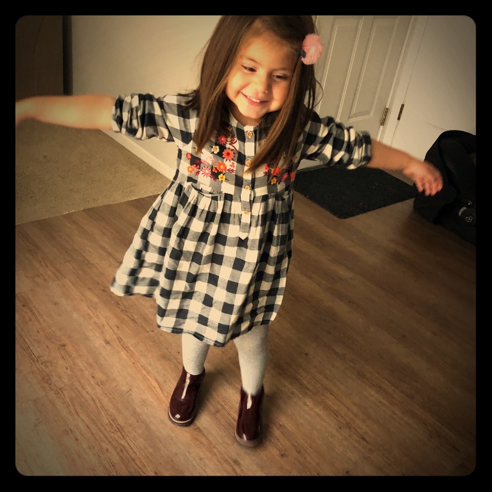 Zara size 2-3 toddler girls dress